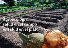 Arroyo acoge las jornadas 'Agroecología: salud en el campo, es salud en el plato' y la asamblea nacional de la Red Terrae