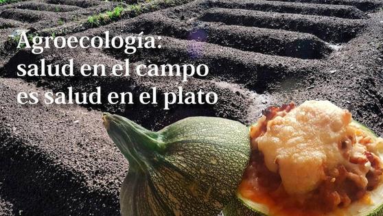 Arroyo acoge las jornadas 'Agroecología: salud en el campo, es salud en el plato' y la asamblea nacional de la Red Terrae