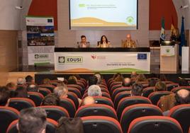 Cierran los proyectos Edusi 'Plasencia y su entorno' y 'Red de Municipios Sostenibles de Cáceres'