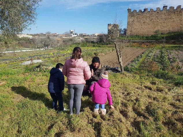 Taller infantil en la huerta. 