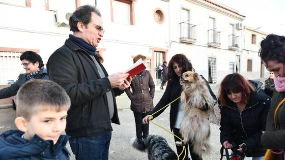 Arroyo de la Luz disfruta de sus fiestas de San Antón
