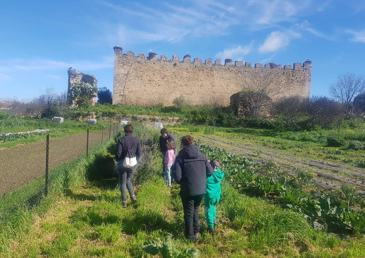 Imagen secundaria 1 - Arroyo de la Luz se dio un festín de coles con buche