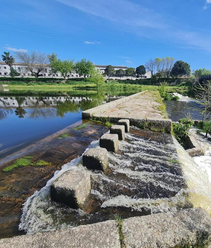 Imagen secundaria 2 - Arriba, Molano tirando agua. Debajo, la fuera del agua en el rio Pontones.