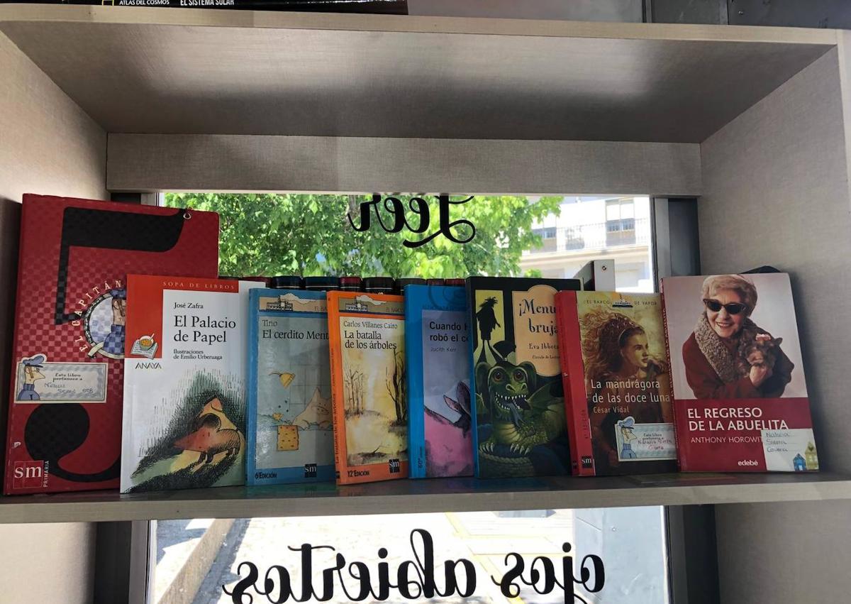 Imagen secundaria 1 - Algunos de los nuevos libros donados.