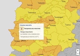 Avisos activos para el sábado 10 de agosto.