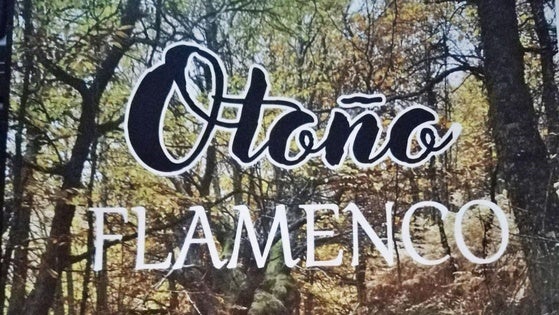 Noche flamenca con la preselección del III Concurso de Fandangos