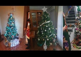 Árboles ganadores del pasado año.