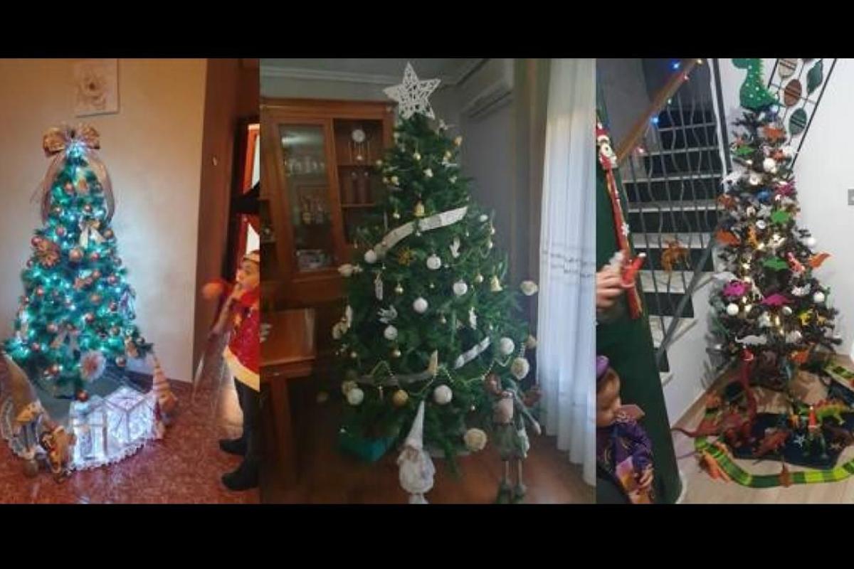 Árboles ganadores del pasado año.