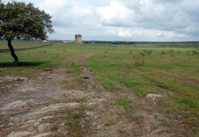 Los alumnos del IES Divino Morales realizaron una ruta por Los Barruecos