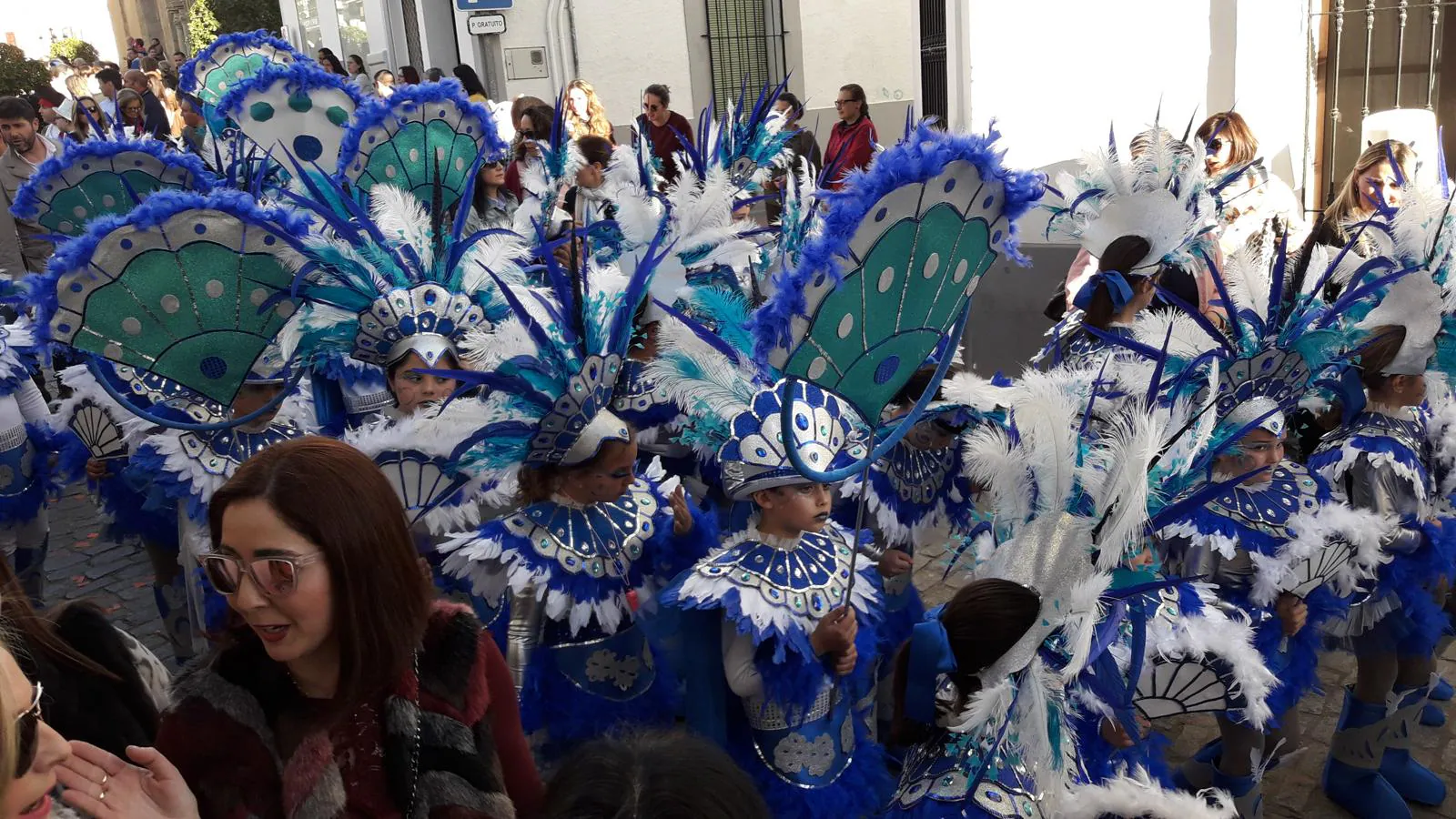 Cinco comparsas participaron en el concurso de este año y 'Las Salamandras' se alzó con el primer premio