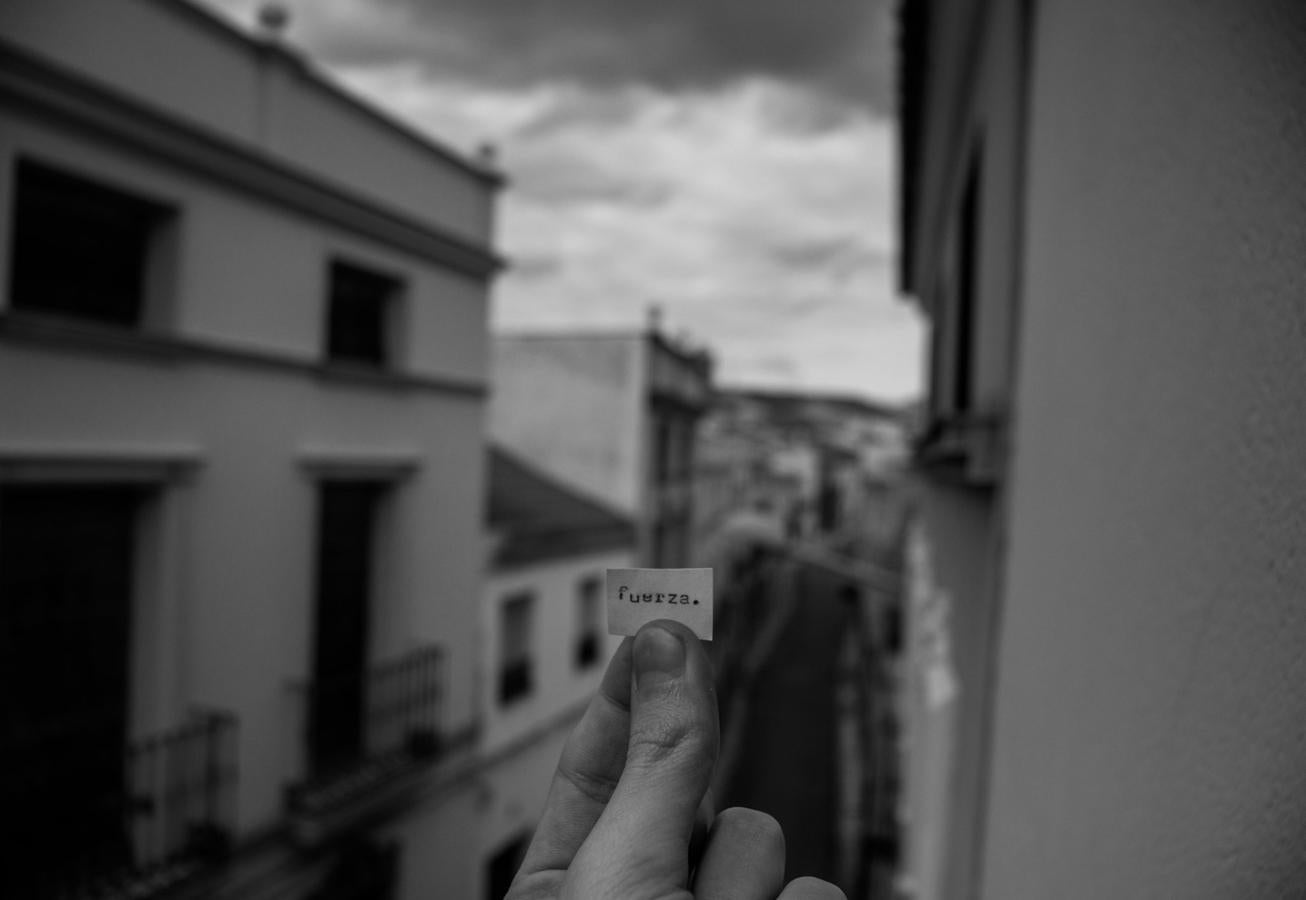 Fotos: Campanario desde la ventana