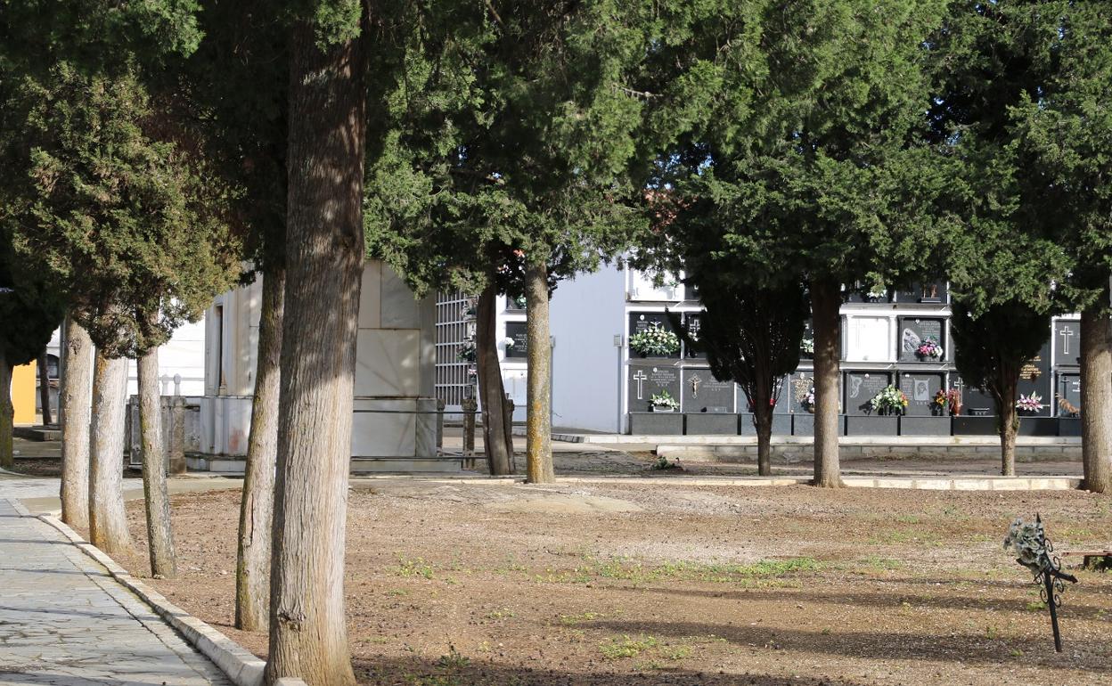 Cementerio de Campanario. 