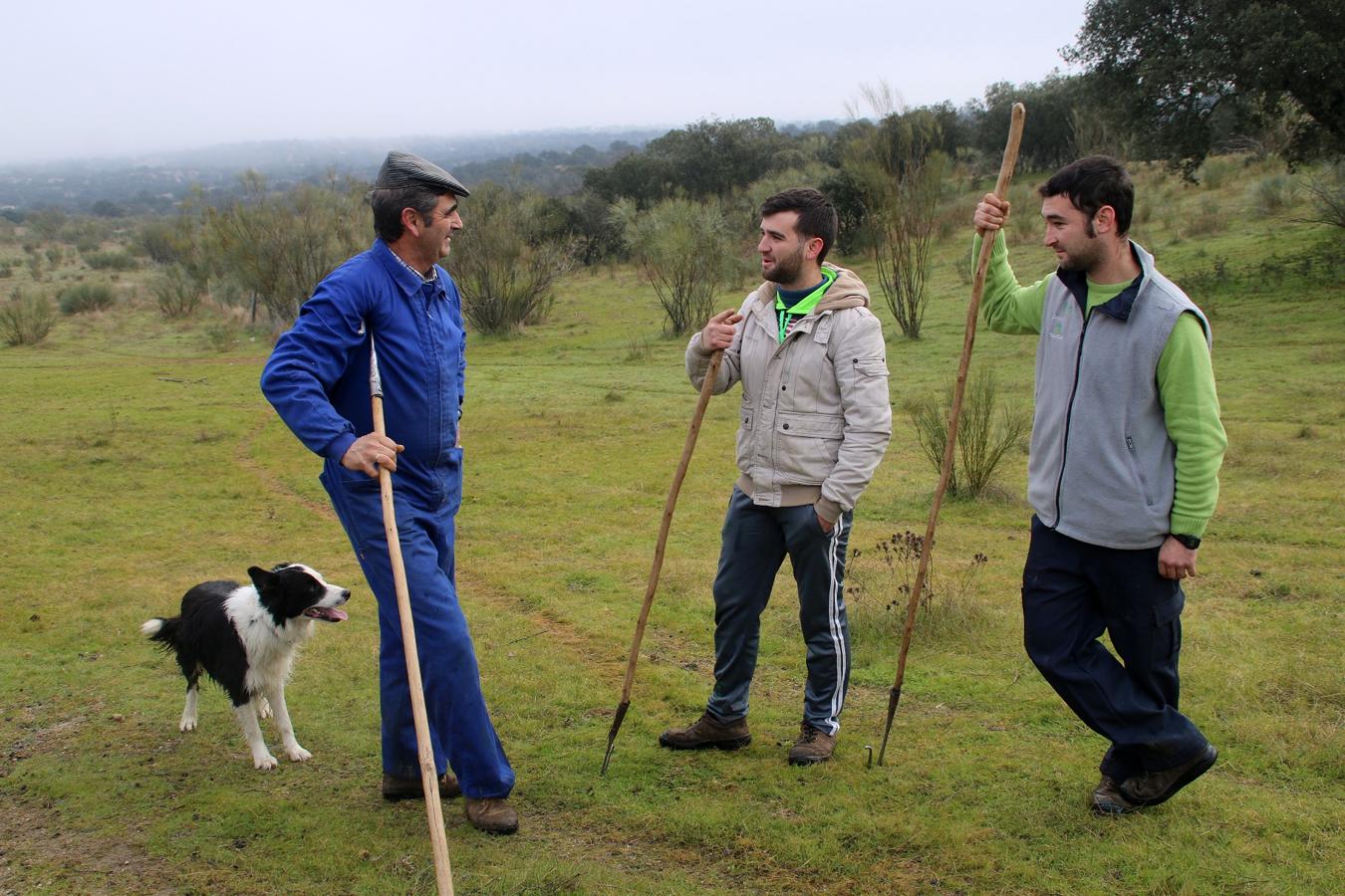 En los últimos años ha aumentado el número de jóvenes dedicados al pastoreo en La Serena, garantizando así el futuro del sector. Un oficio que, mayoritariamente, se elige por vocación y tradición familiar. Ejemplos no faltan en Campanario.