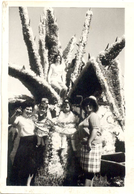 Carroza elaborada en 1966.