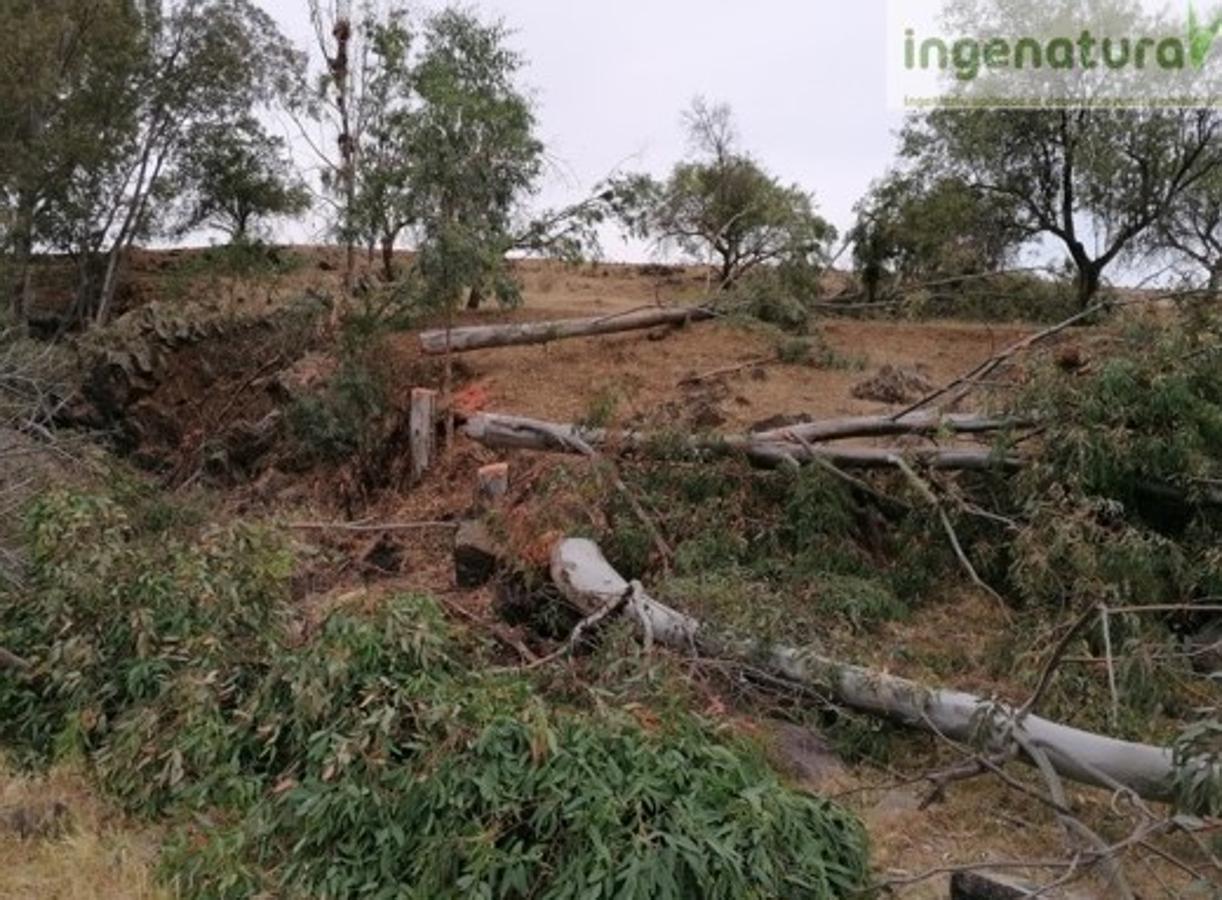 Rehabilitación de la Presa del Paredón y acondicionamiento del entorno. 