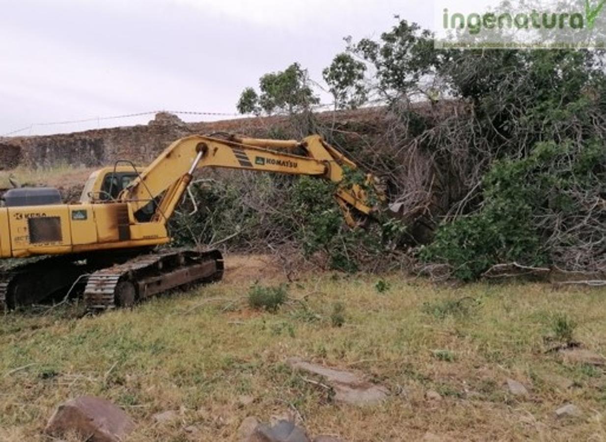Rehabilitación de la Presa del Paredón y acondicionamiento del entorno. 