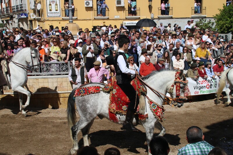 Desfile de caballos, jinetes y amazonas en la Plaza de España de Campanario.