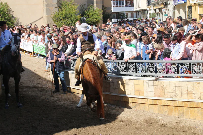 Desfile de caballos, jinetes y amazonas en la Plaza de España de Campanario.