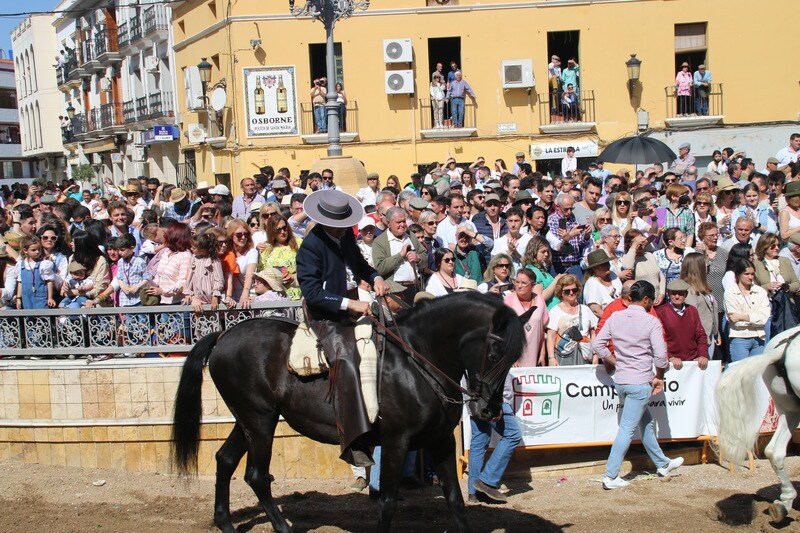 Desfile de caballos, jinetes y amazonas en la Plaza de España de Campanario.