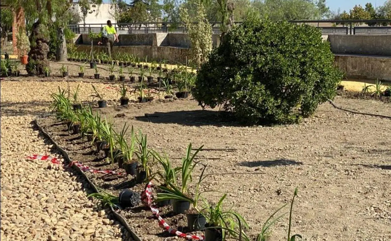 Zona del parque de la Laguna acondicionada por los alumnos de la escuela profesional. 