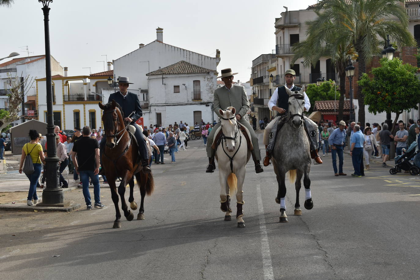 Fotos Desfile de carrozas y caballerías Romería de Piedraescrita 2023