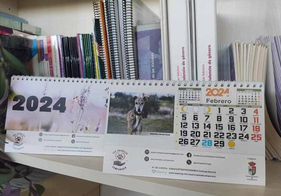Ya a la venta el calendario solidario de SOS Animales Campanario 2024