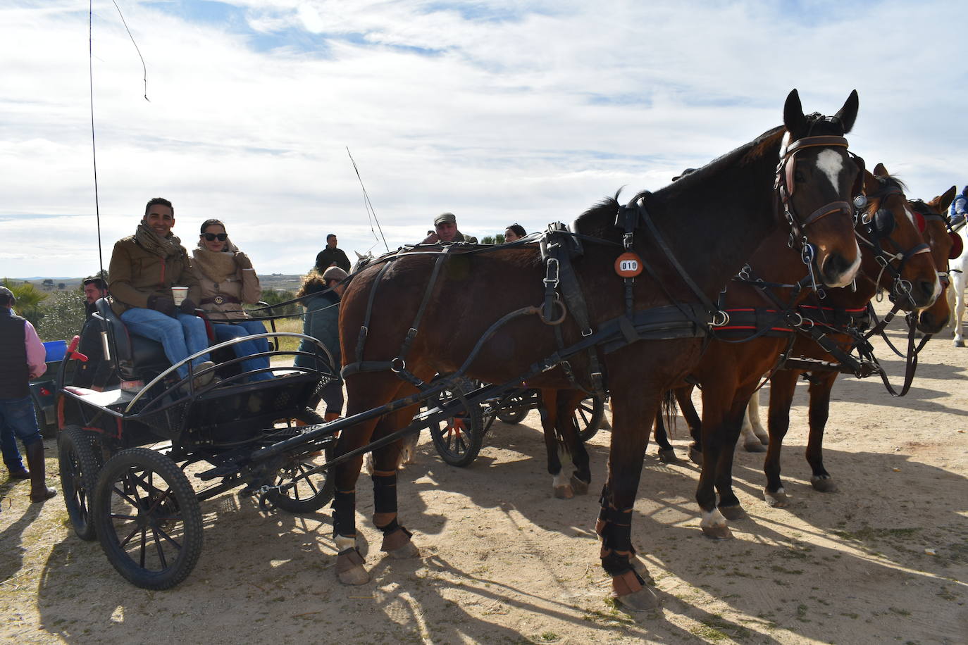 La tradicional Romería de San Valentín de Campanario estuvo protagonizada por la Hermandad de San Valentín y la Virgen de la Guía y por los romeros, algunos acompañados de sus galgos o de sus caballos, que disfrutaron de la convivencia de uno de los mayores festejos de la localidad 