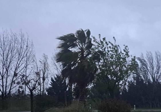 La Semana Santa mira al cielo en medio de la alerta amarilla por lluvias y vientos