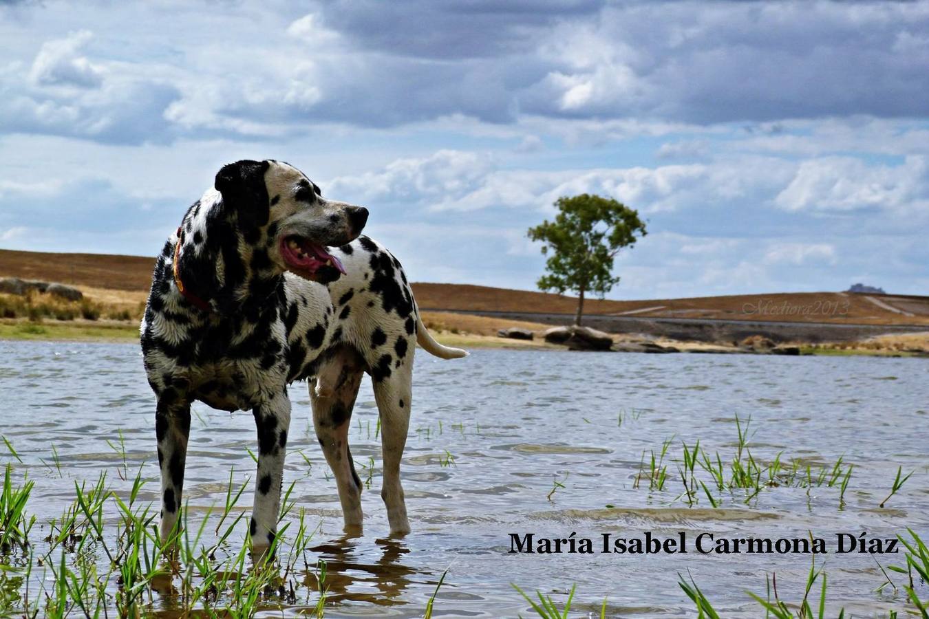 Foto 'Mi perfil bueno' de María Isabel Carmona, elegida para ilustrar el mes de diciembre. 