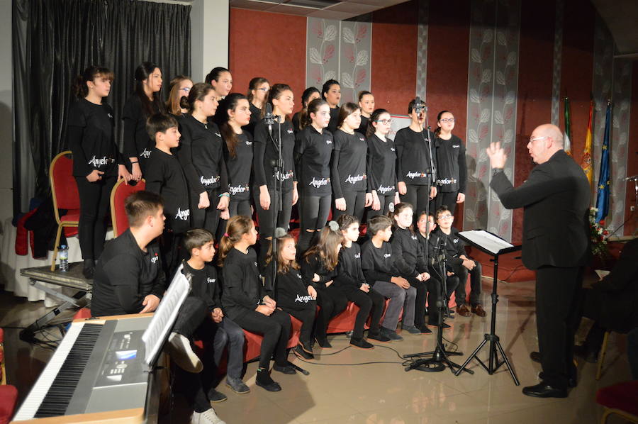 Pueri Angelorum actúa hoy en el teatro Imperial de Don Benito