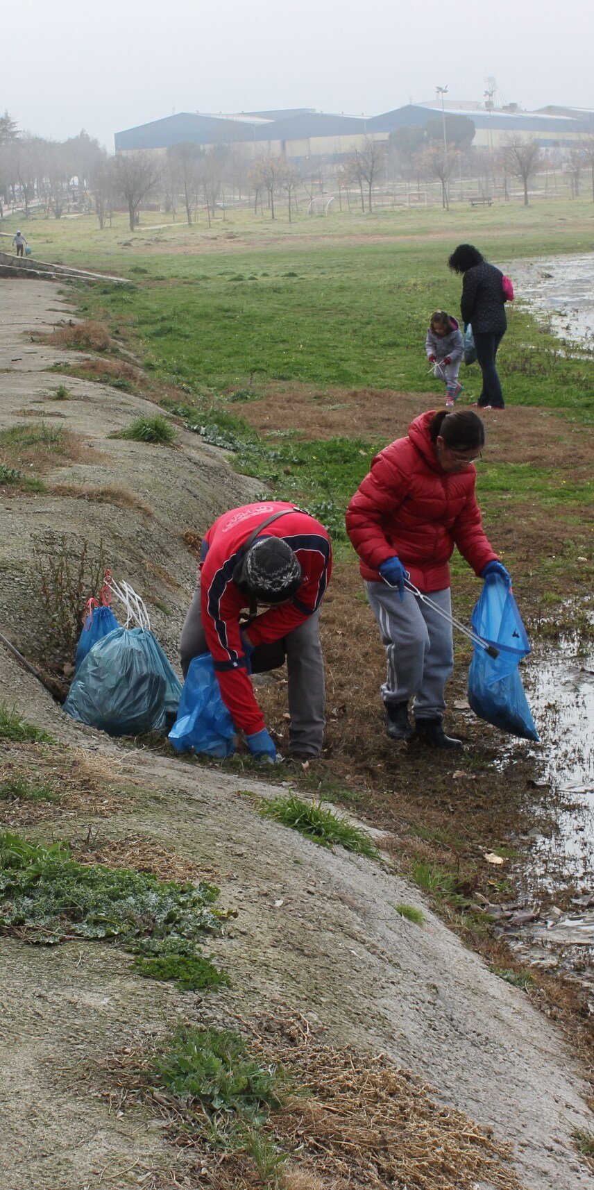Imagen secundaria 2 - Una decena de voluntarios limpian de plásticos y vidrio el entorno de La Charca