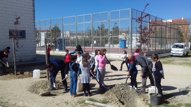 Alumnos de Primaria colaboran con la siembra. 
