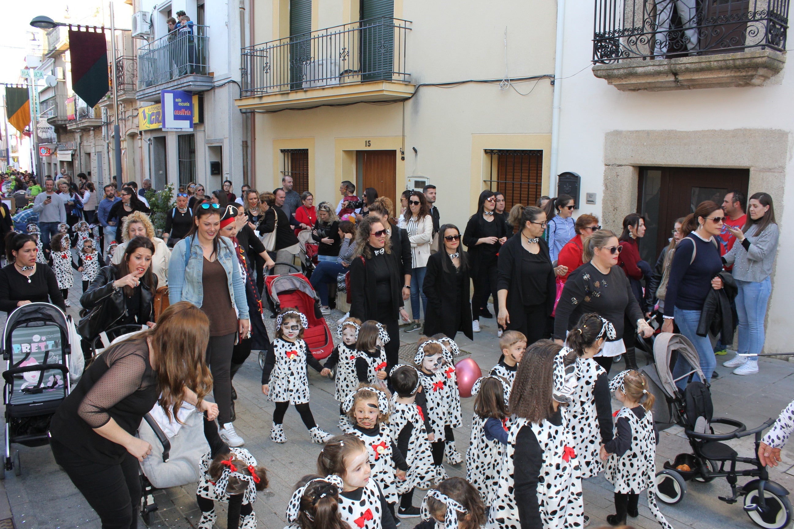 Numerosos dálmatas junto a sus padres. 