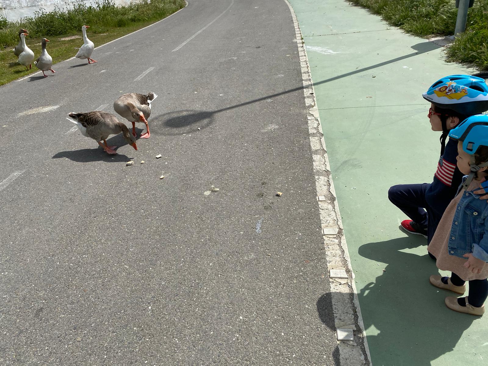 Dos hermanos han disfrutado viendo comer a los patos de La Charca con los que se han topado. CEDIDA