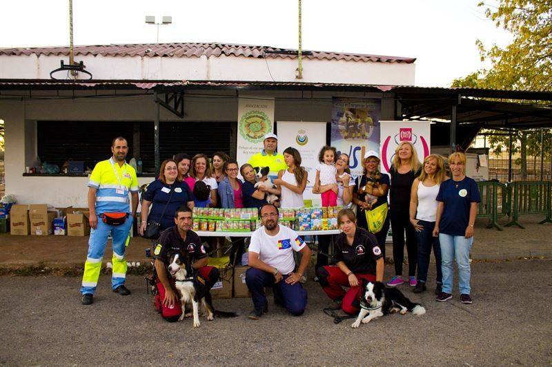 Imagen de la primera campaña de recogida de potitos en Cáceres, hace ya siete años. 