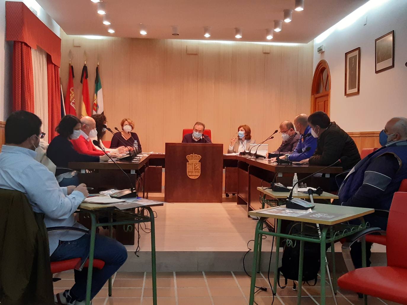 Participantes en la sesión plenaria ordinaria, la última prevista de este 2020. 