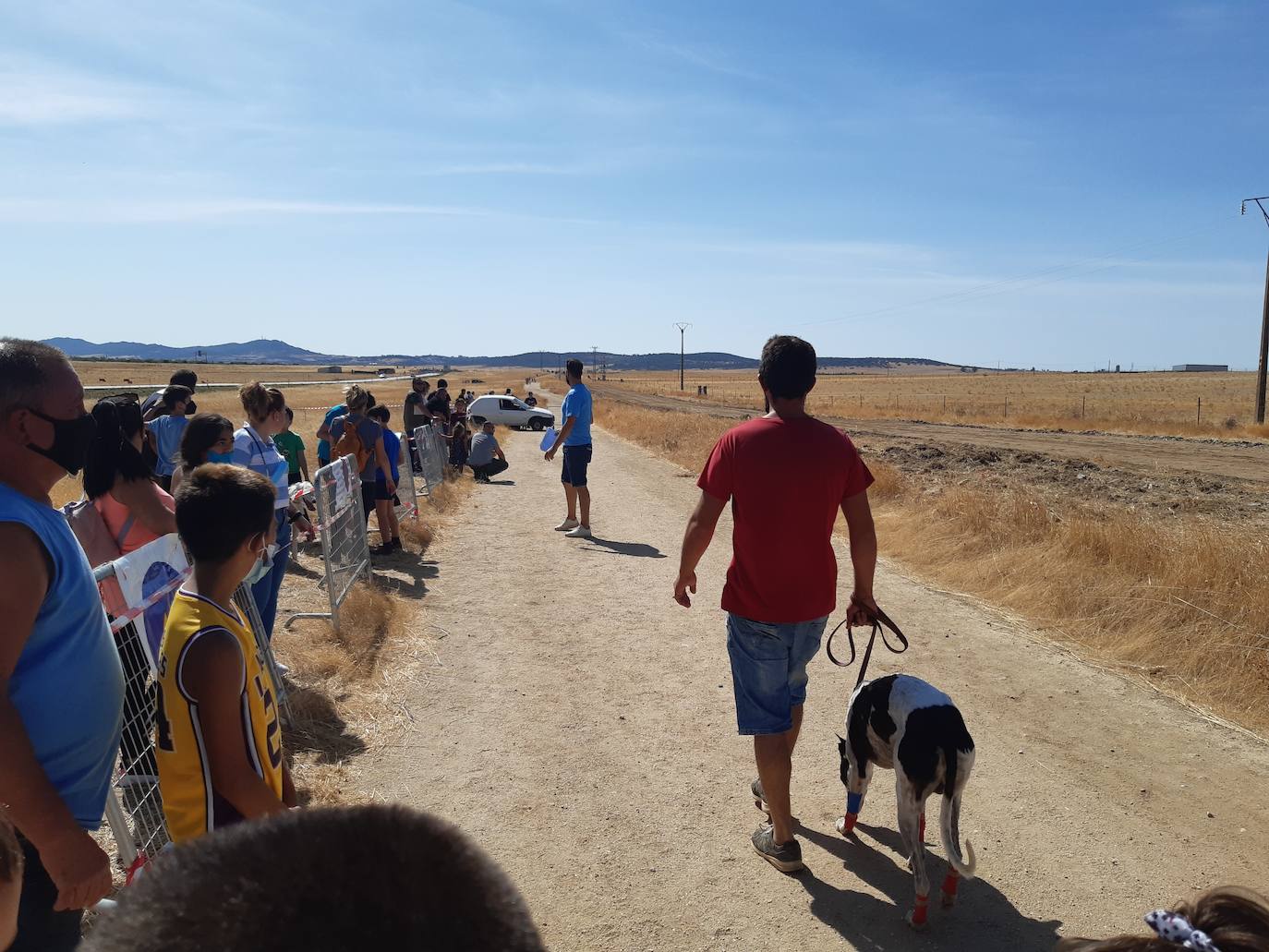Imagen secundaria 2 - 94 galgos de distintas provincias asisten a las carreras del Ramo