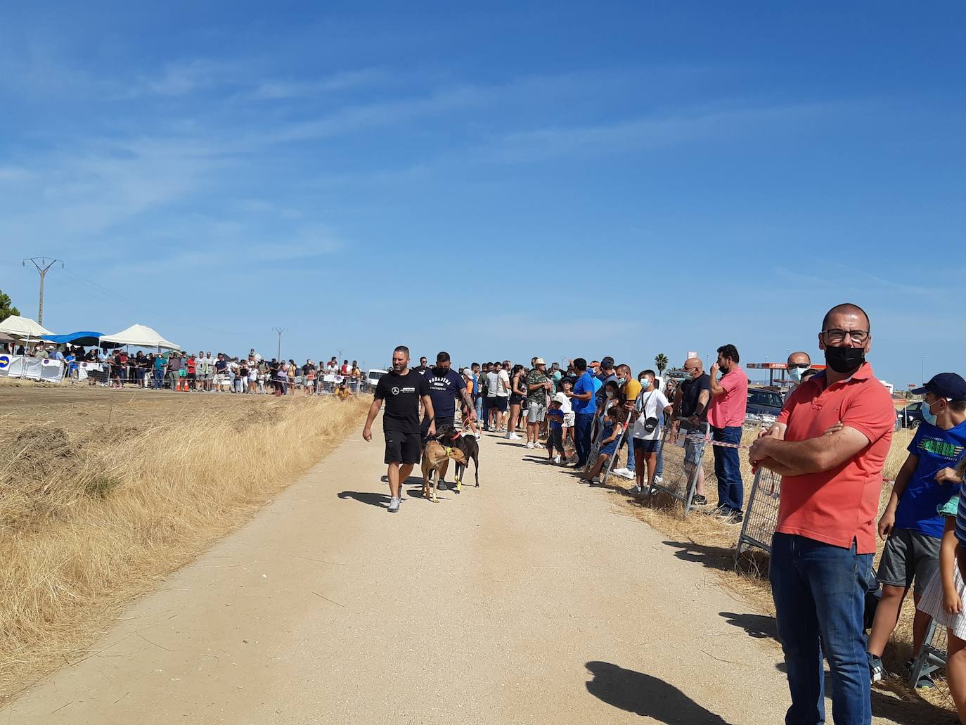 94 galgos de distintas provincias asisten a las carreras del Ramo