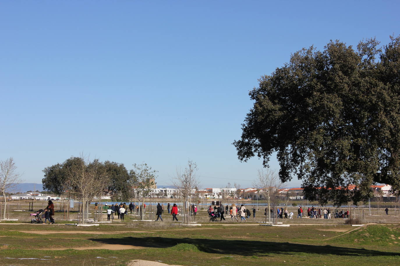 Jimena y Jaime, la primera y el último bebé de 2021, entre los 65 niños que recibirán este sábado un árbol con su nombre