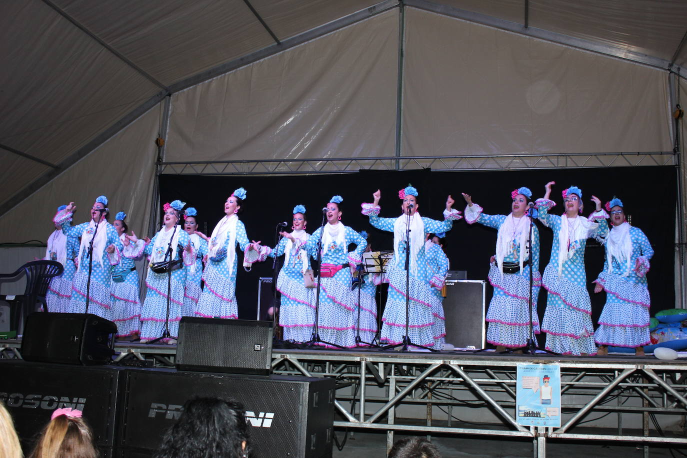 Fotos: Casar de Cáceres vuelve a disfrutar de un gran Carnaval
