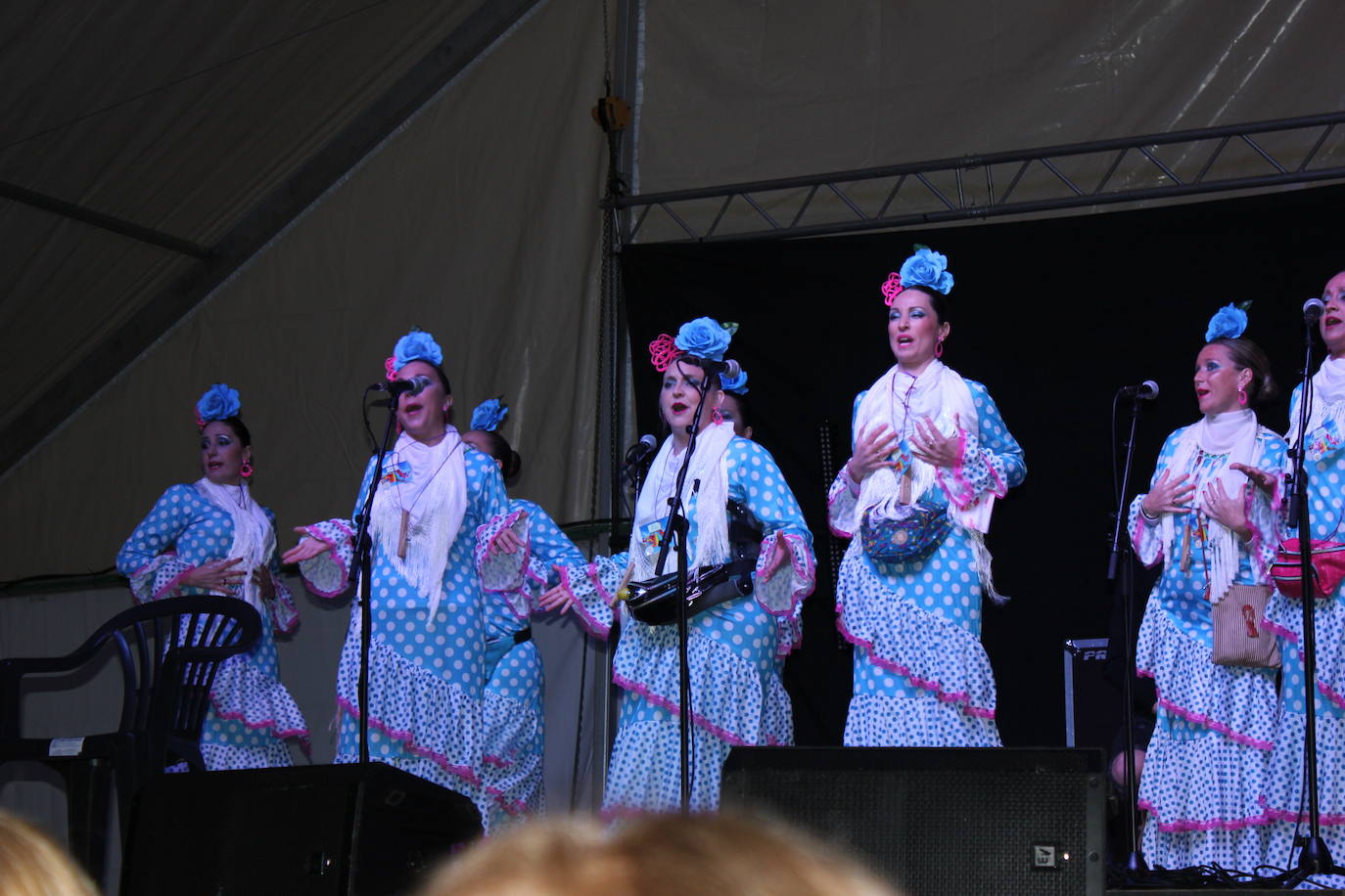 Fotos: Casar de Cáceres vuelve a disfrutar de un gran Carnaval