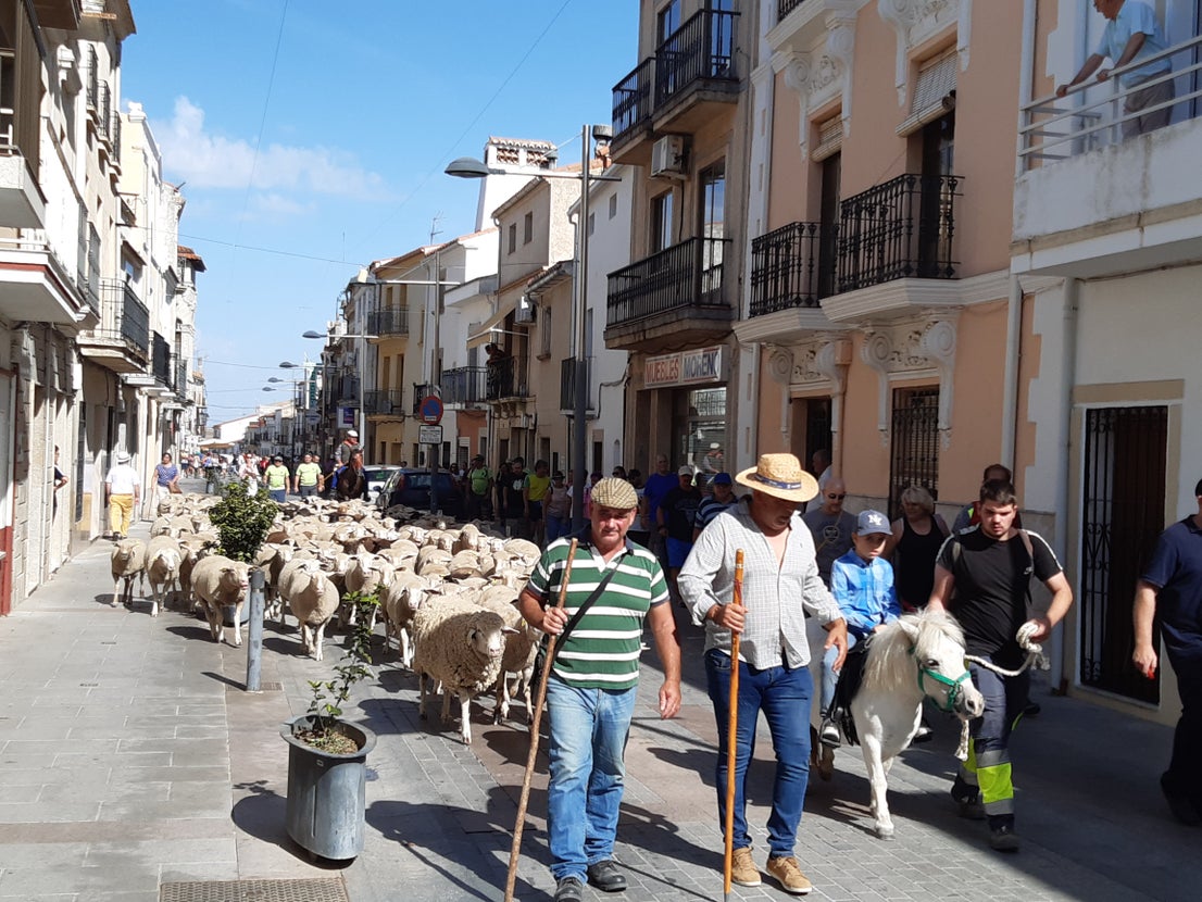 Fotos: La VI Feria Europea del Queso de Casar de Cáceres en imágenes
