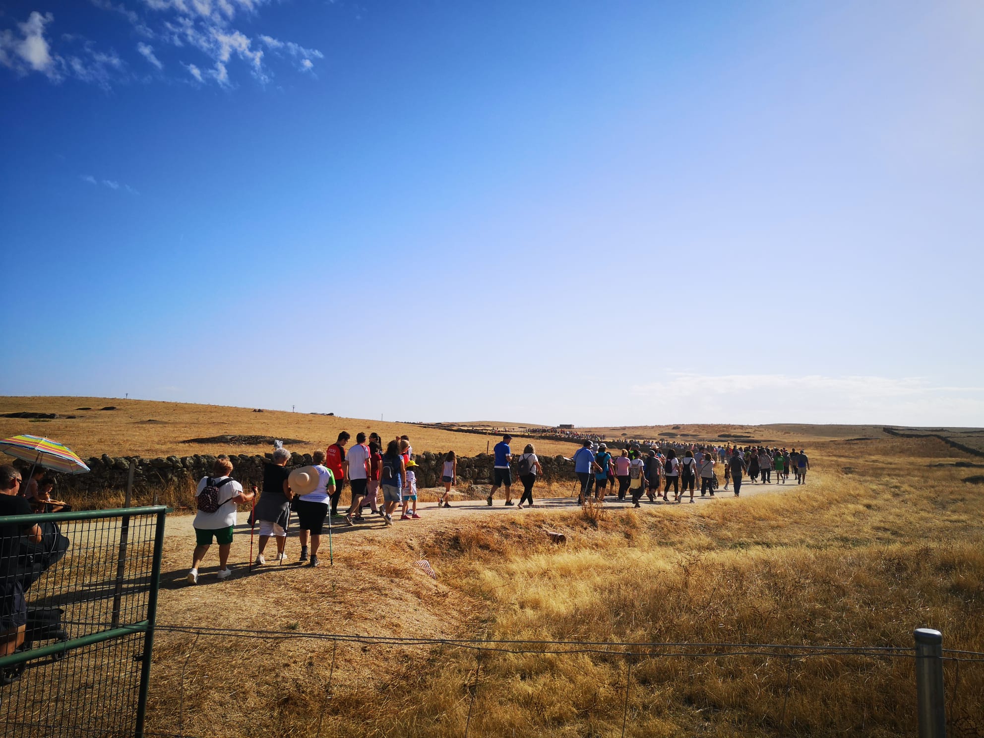 Fotos: La VI Feria Europea del Queso de Casar de Cáceres en imágenes