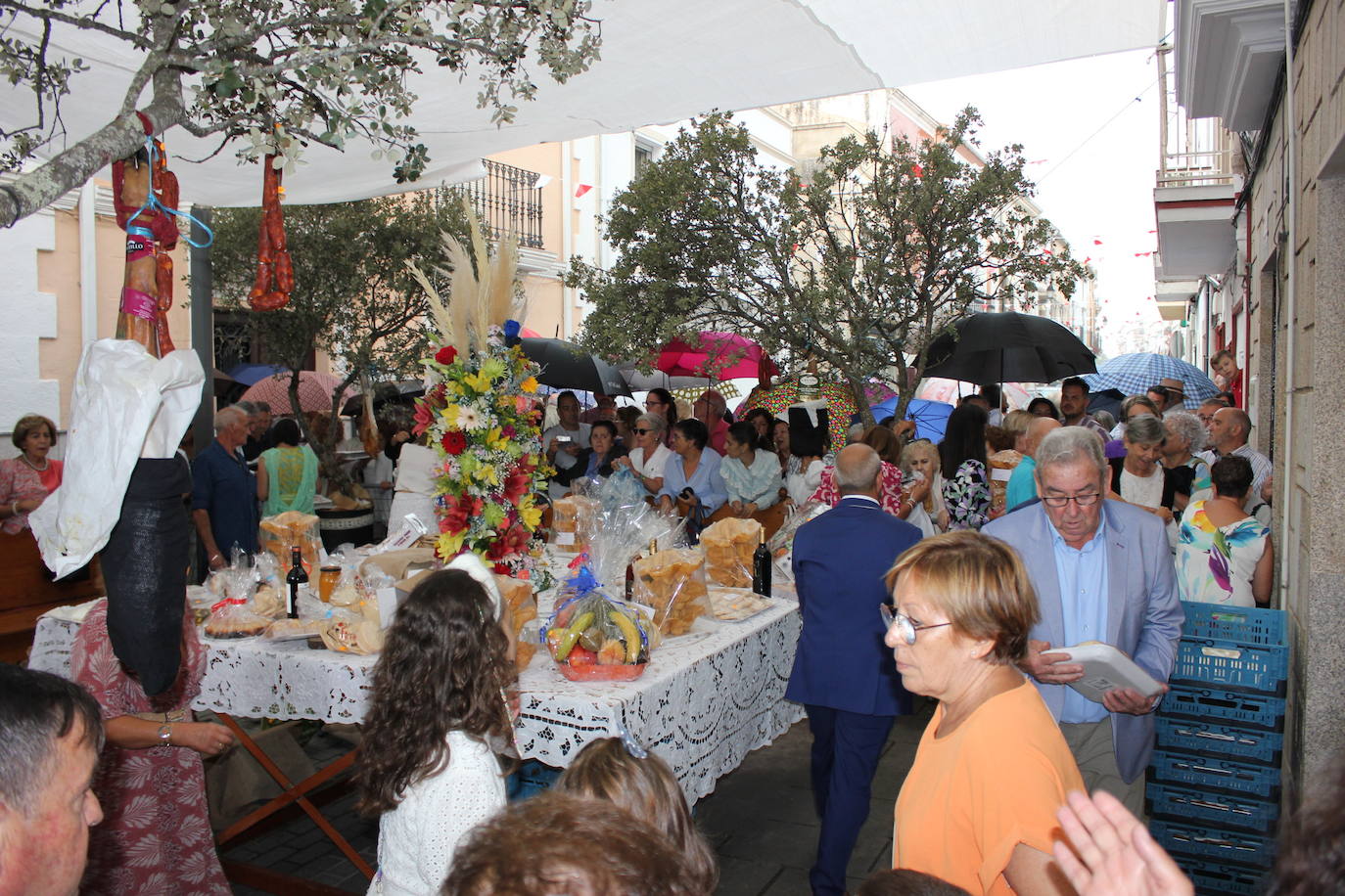 Las Fiestas del Ramo 2023 en imágenes