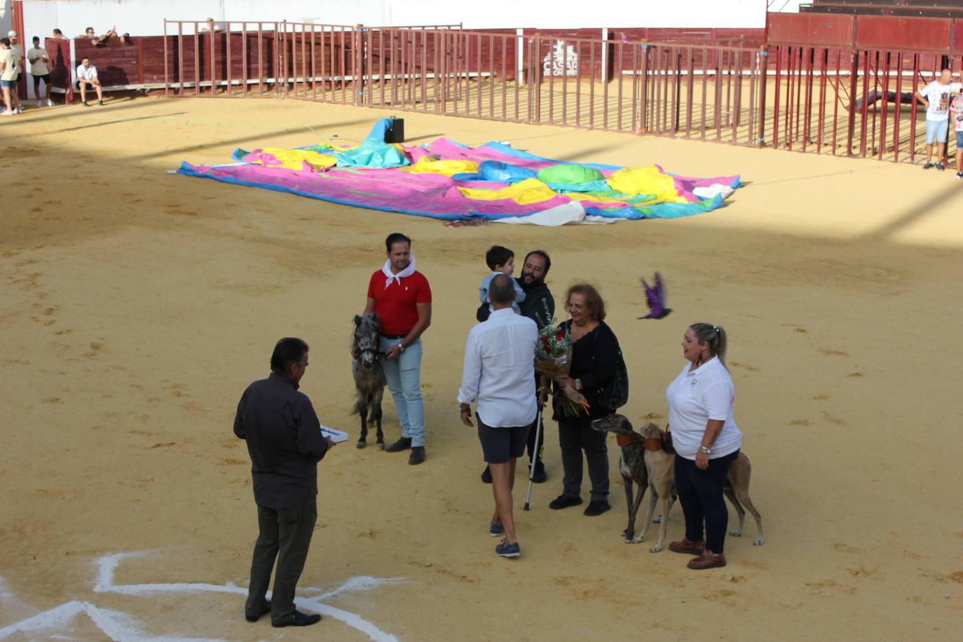 Las Fiestas del Ramo 2023 en imágenes