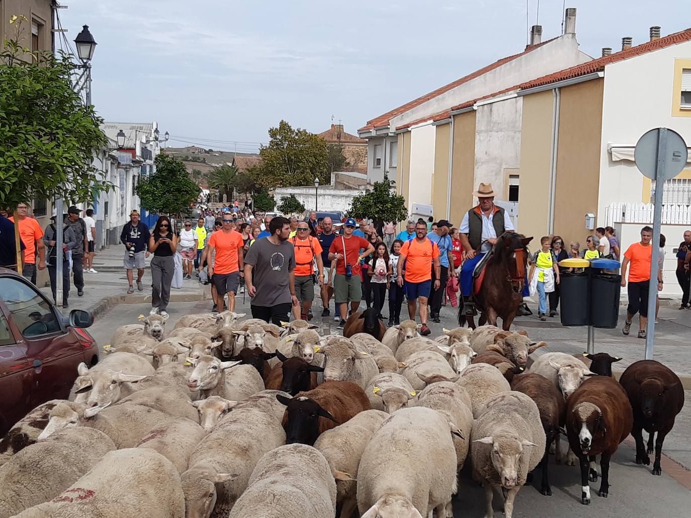 El queso úne en Casar de Cáceres a miles de personas