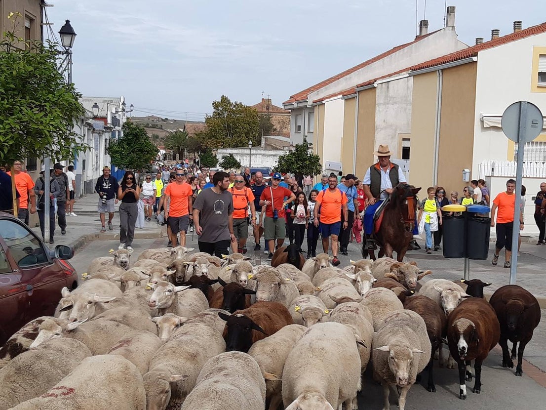 El queso úne en Casar de Cáceres a miles de personas