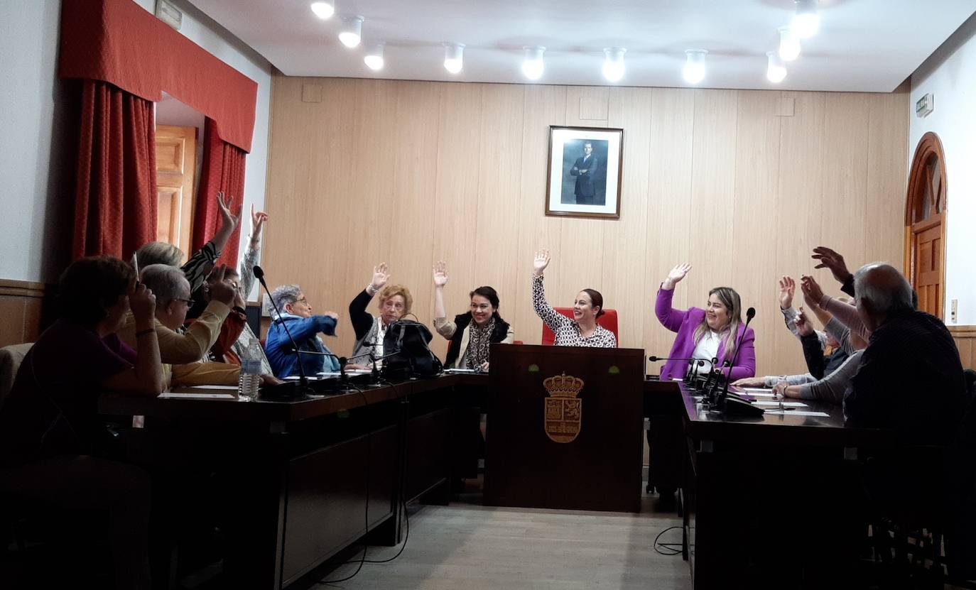 Los mayores disfrutan en una sesión plenaria atípica y votan asuntos de interés