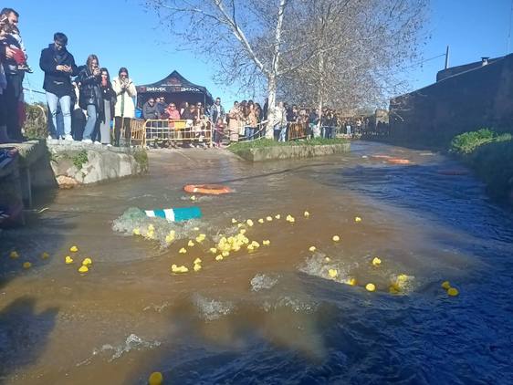 Gran expectación en la I Carrera de patos de goma en la localidad