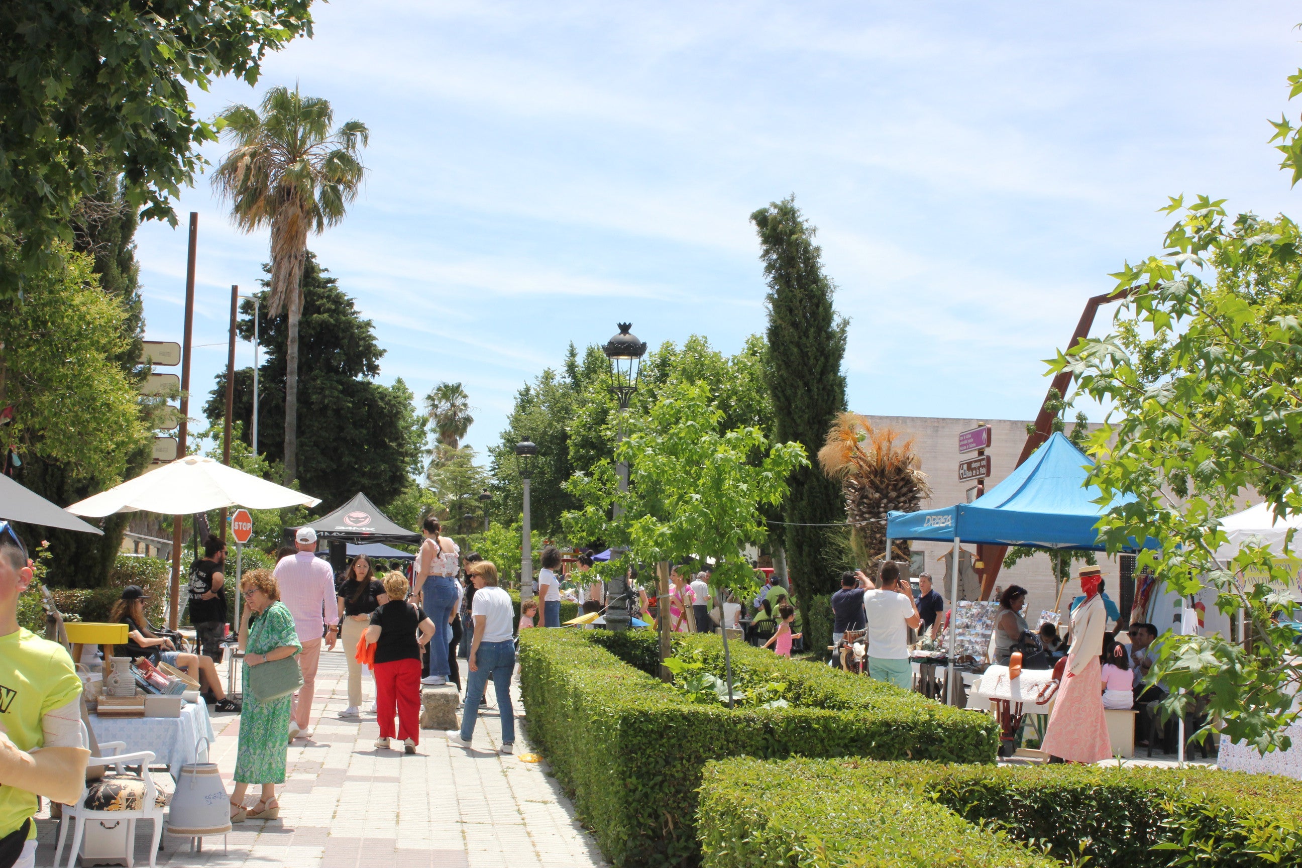 21 colectivos impulsan el asociacionismo local